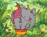 Elefante e scimmia del circo