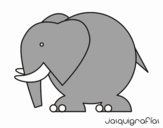 Elefante grosso