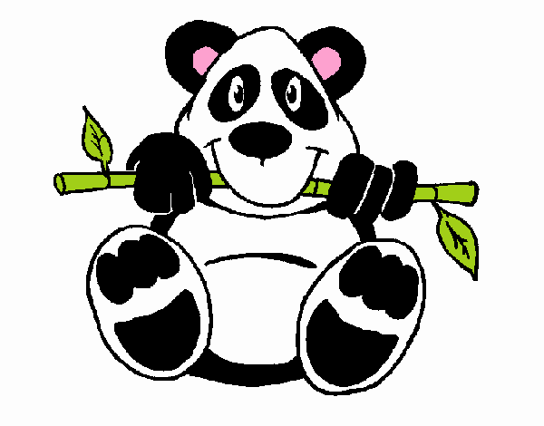 Orso panda 