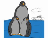 Famiglia pinguino 
