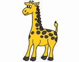 Giraffa 4