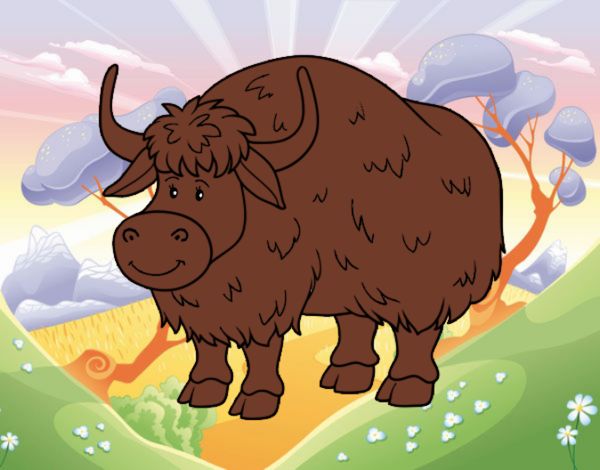 Un búfalo