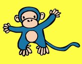 Scimmietta 1