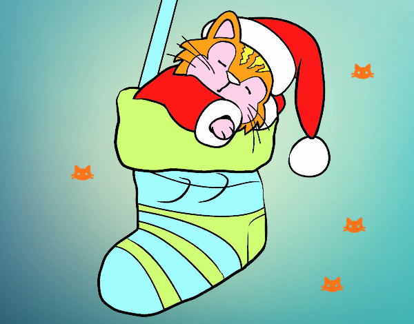 Gattino che dorme in una calza di Natale