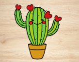 Cactus cuore