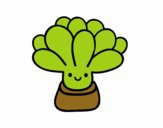 Mini succulente
