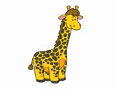 Una giraffa africana