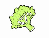 Ramo di broccoli