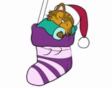 Gattino che dorme in una calza di Natale