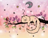 Il gato e la luna