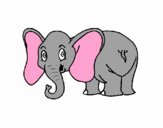 Piccolo elefantino 